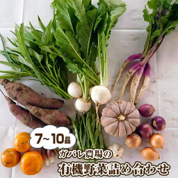 【ふるさと納税】No.058 ガバレ農場の季節の有機野菜詰め合わせセット ／ 有機JAS認定農場 採れた 詰合せ 送料無料 埼玉県