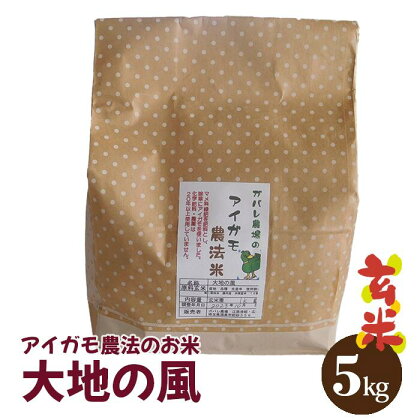 No.096 【アイガモ農法のお米】ガバレ農場「大地の風」5kg　玄米　精米歩合指定OK ／ 1分づき 5分づき 白米 送料無料 埼玉県