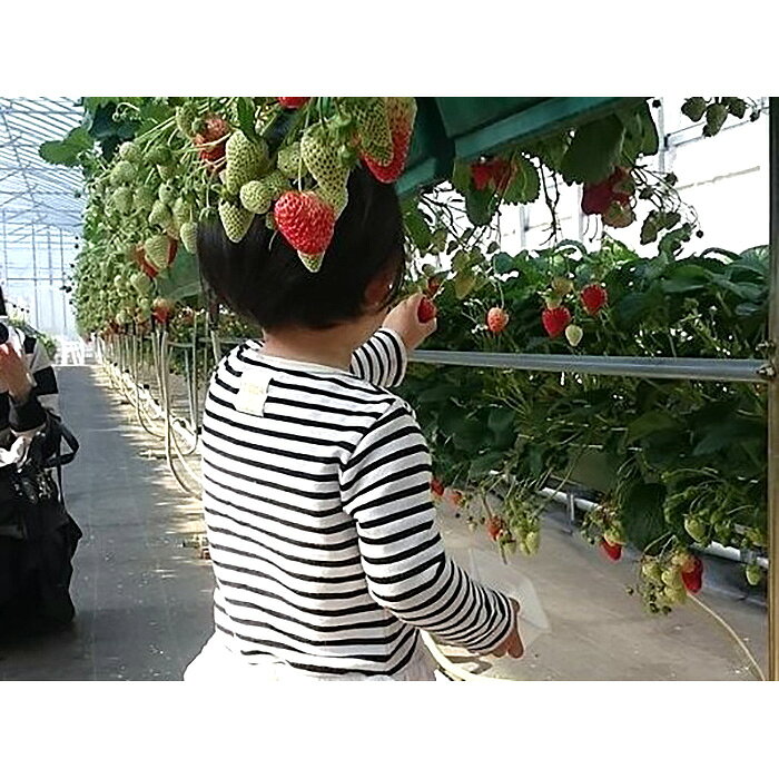 埼玉県鴻巣市の画像2