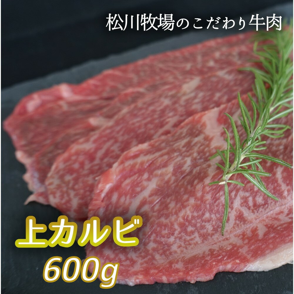 【ふるさと納税】No.139 【数量限定】松川牧場のこだわり牛肉 上カルビ600g おまかせ2部位 ／ サンカクバラ フランク ボンショウ トモサンカク カイノミ インサイドから部位はおまかせ 送料無…