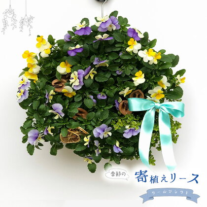 No.148 【季節の寄植えリース】クールセレクト＊花工房すなが＊ ／ 花 季節の花 寄植え フラワー フラワーリース おしゃれ クール ナチュラル 屋外 送料無料 埼玉県