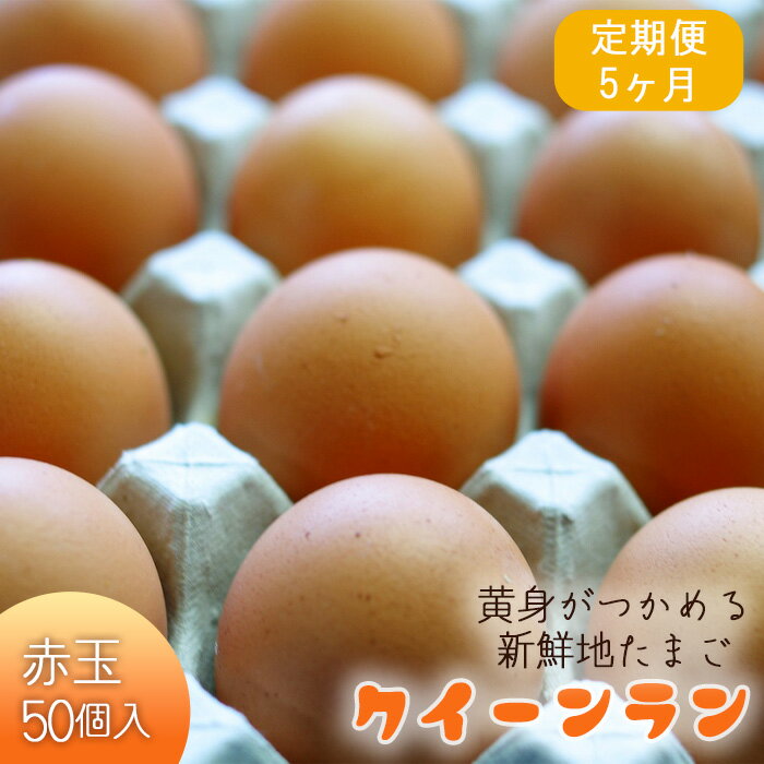 【ふるさと納税】No.227 黄身がつかめる新鮮地たまごクイーンラン 赤玉50個入《定期便5ヶ月》 / たまご 掴める 食品 送料無料 埼玉県