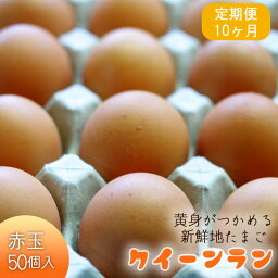 【ふるさと納税】No.280 黄身がつかめる新鮮地たまごクイーンラン 赤玉50個入《定期便10ヶ月》 ／ たまご 掴める 食品 送料無料 埼玉県