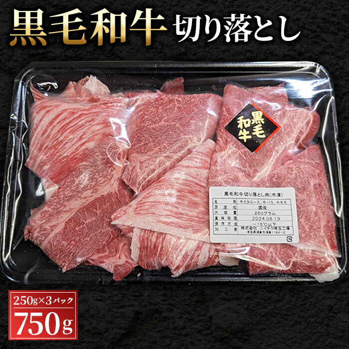 No.430 黒毛和牛切り落とし250g×3パック（合計750g） ／ 切落とし 黒毛和牛 和牛 牛 牛肉 肉 グルメ A3以上 和牛専門問屋 すき焼き 水炊き 炒め物 丼もの しぐれ煮 送料無料 埼玉県