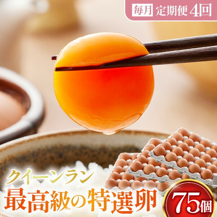 [毎月定期便]黄身がつかめる新鮮地たまご クイーンラン 赤玉 75個入り全4回[No.593] / 卵 毎月発送 定期便 新鮮卵 卵かけご飯 TKG 濃厚卵 黄身 弾力卵 生卵 卵料理 大容量 卵まとめ買い 新鮮食材 朝食食材 料理食材 家庭用卵 送料無料 埼玉県