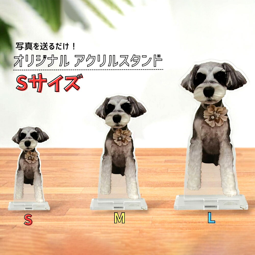 Rakuten - 【ふるさと納税】写真で作る　オリジナル　アクリルスタンド　Sサイズ ／ アクスタ オリジナルアクスタ 写真アクスタ 子ども写真 ペット写真 ペットグッズ 写真グッズ オーダーメイド 記念ギフト プレゼント インテリア 卓上 持ち運び イベント 埼玉県 No.605
