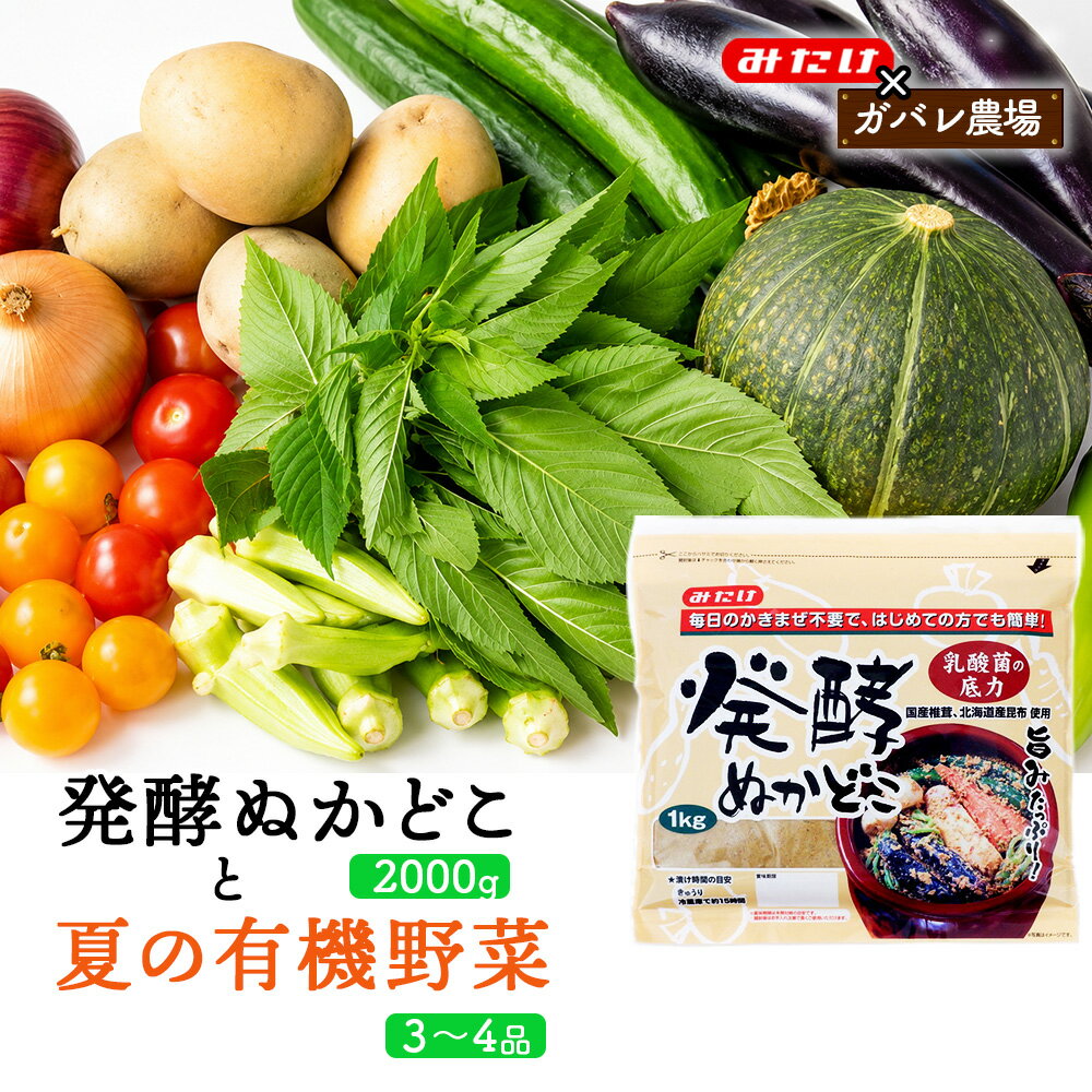 [コラボC]発酵ぬかどこ1kg×2&夏の有機野菜3〜4品 / ぬか漬け ぬかどこ 発酵ぬかどこ 有機野菜 旬野菜 夏野菜 野菜セット 漬物 手作り 簡単調理 かき混ぜ不要 発酵食品 常備菜 一品追加 食卓 送料無料 埼玉県 特産品 No.618