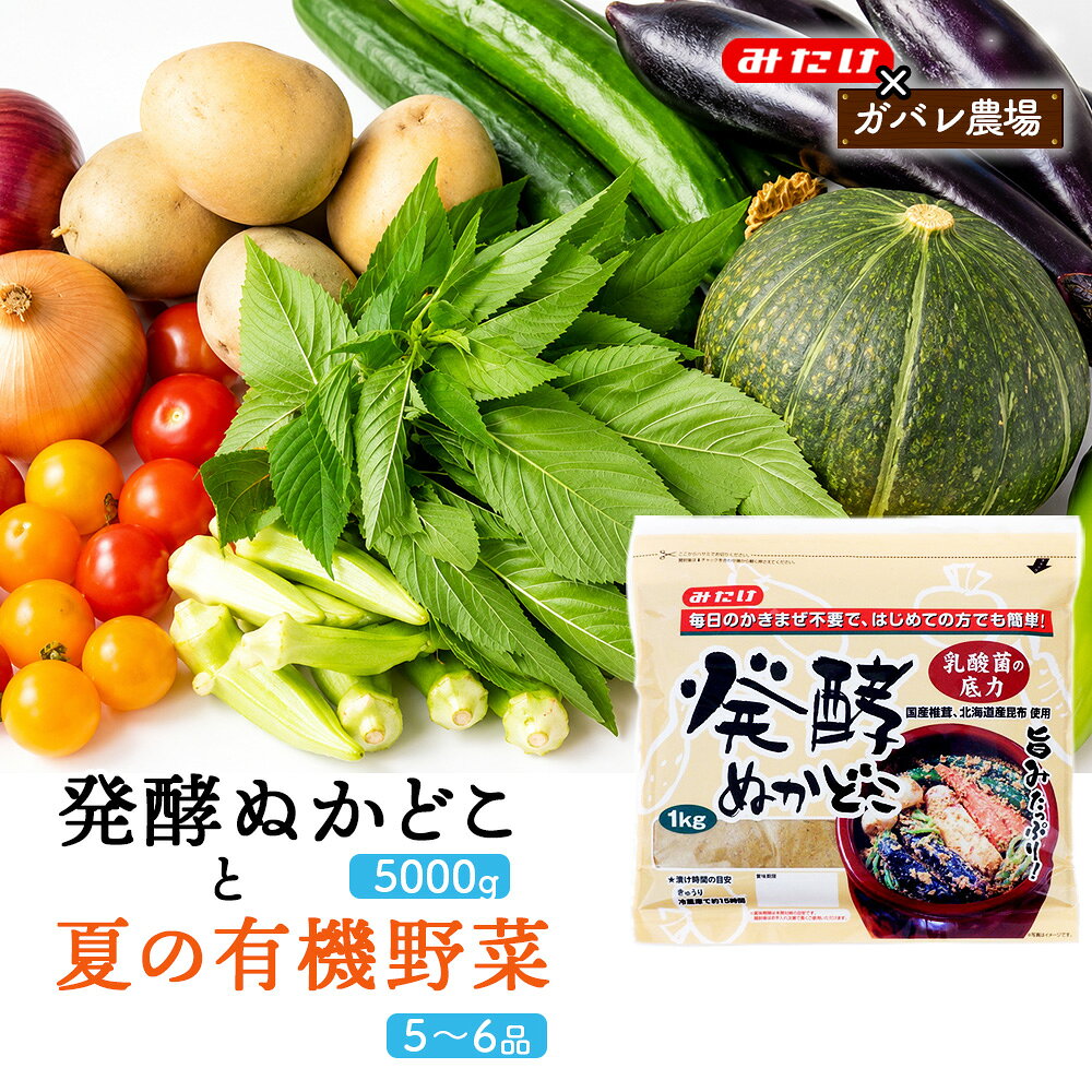 【ふるさと納税】【コラボE】発酵ぬかどこ1kg×5＆夏の有機野菜5～6品 ／ ぬか漬け ぬかどこ 発酵ぬかどこ 有機野菜 旬野菜 夏野菜 野菜セット 漬物 手作り 簡単調理 かき混ぜ不要 発酵食品 常備菜 一品追加 食卓 送料無料 埼玉県 特産品 No.620