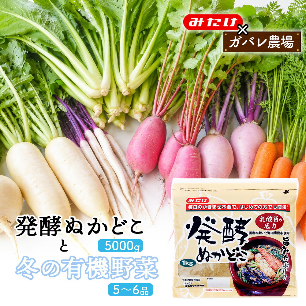【ふるさと納税】【コラボF】発酵ぬかどこ1kg×5＆冬の有機野菜5～6品 ／ ぬか漬け ぬかどこ 発酵ぬかどこ 有機野菜 旬野菜 冬野菜 野菜セット 漬物 手作り 簡単調理 かき混ぜ不要 発酵食品 常備菜 一品追加 食卓 送料無料 埼玉県 特産品 No.621
