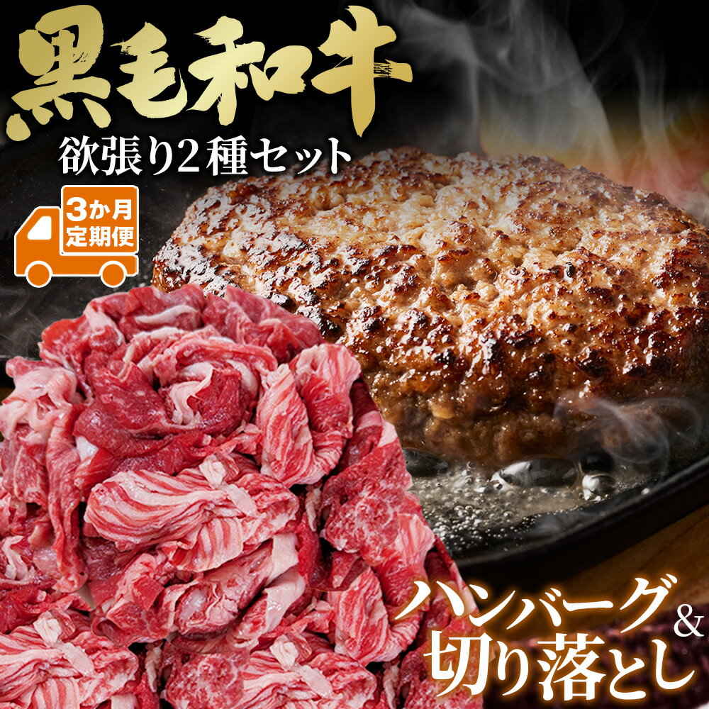 [3か月定期便]黒毛和牛欲張りセット(切り落とし250g・ハンバーグ 120g×8個) / 黒毛和牛 和牛定期便 牛肉定期便 黒毛和牛切り落とし 和牛ハンバーグ ハンバーグ8個 牛肉セット 小分け すき焼き用 炒め物用 お取り寄せ肉 送料無料 埼玉県 No.634