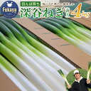 【ふるさと納税】<先行予約>煮てよし、焼いてよし!甘さがギュッと!深谷ねぎ 4kg 【11218-0240】 # 深谷ねぎ ねぎ 深谷 深谷市 ケスタファーム