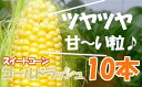 【ふるさと納税】<先行予約>【6・7月出荷】農家直送! スイートコーン(ゴールドラッシュ)箱詰め 【11218-0293】 とうもろこし トウモロコシ ゴールド...