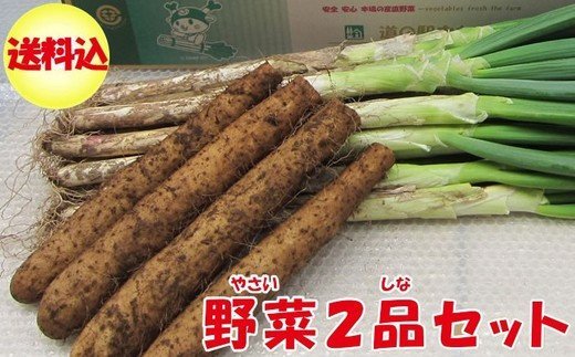 深谷ねぎ3kg・大和芋2kgセット(土付き) [11218-0243] # 深谷ねぎ ねぎ 深谷 深谷市 大和芋 とろろ
