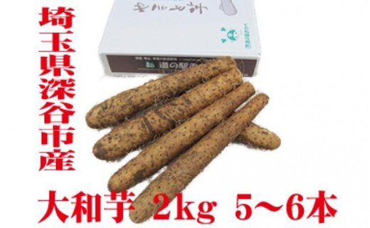 土付き大和芋AA品2kg（5～6本）　