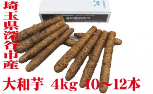 20位! 口コミ数「1件」評価「3」土付き大和芋AA品4kg（10～12本）　【11218-0138】