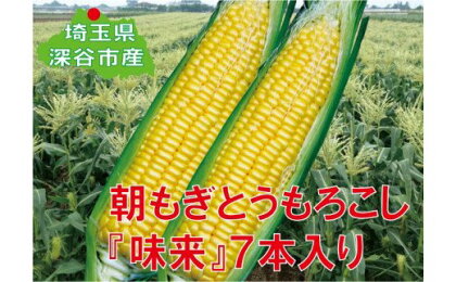 ＜先行予約＞【6・7月出荷】フルーツみたいなスイートコーン【味来（みらい）】7本　【11218-0139】