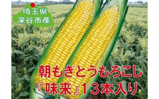 ＜先行予約＞【6・7月出荷】フルーツみたいなスイートコーン【味来（みらい）】13本　【11218-0140】