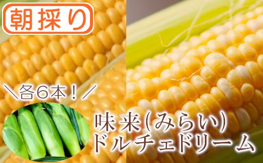 [農家直送]朝採りトウモロコシ[食べ比べ2種セット] 『味来(みらい)』6本・『ドルチェドリーム』6本 野菜 トウモロコシ 朝採 食べ比べ セット 農家直送 甘い 味来 [11218-0467]