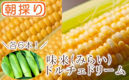 【農家直送】朝採りトウモロコシ＜食べ比べ2種セット＞　『味来（みらい）』6本・『ドルチェドリーム』6本 野菜 トウモロコシ 朝採 食べ比べ セット 農家直送 甘い 味来 【11218-0467】