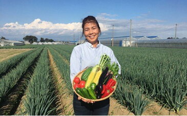 【ふるさと納税】【定期便】澁澤さんちの野菜セット定期便　年4回　【11218-0190】　# 定期便 野菜 深谷ねぎ 深谷 深谷市