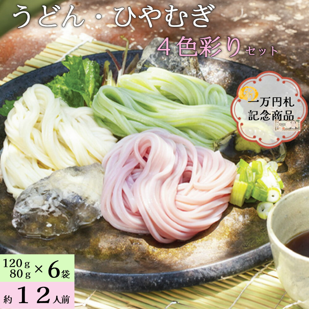 【ふるさと納税】渋沢栄一の里 4色彩りのうどん・ひやむぎセット 【11218-0168】