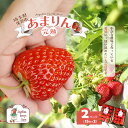 4位! 口コミ数「6件」評価「3.33」Angelina berrys farm あまりんの2パック入り箱詰めいちご　【11218-0540】　# いちご 深谷 深谷市 朝採れ あ･･･ 