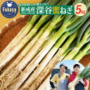 【ふるさと納税】<先行予約>深谷新戒産 深谷ねぎ 5kg 【11218-0381】 # 深谷ねぎ ねぎ 新戒 深谷 深谷市