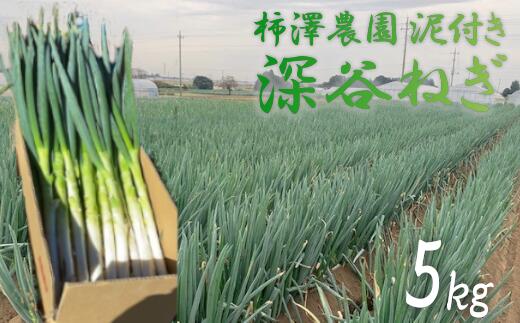 【ふるさと納税】柿澤農園　深谷ねぎ5kg（泥付き）　【11218-0407】　# 深谷ねぎ ねぎ 深谷 深谷市 土付き ドロのサムネイル