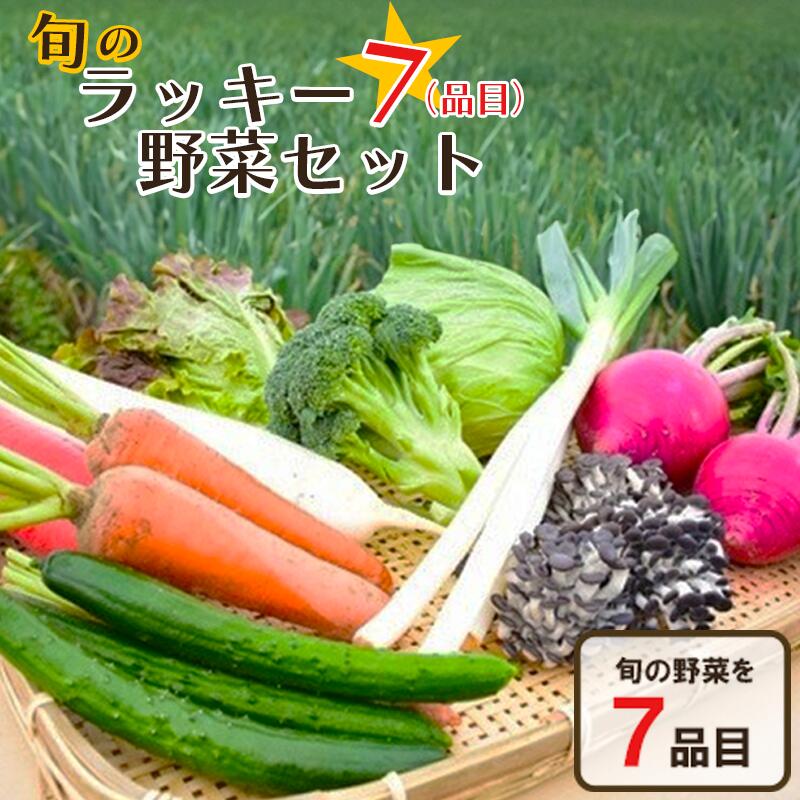 11位! 口コミ数「0件」評価「0」旬のラッキー7野菜セット（野菜7種詰合せ）　【11218-0114】