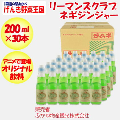 ネギジンジャー　200ml×30本セット　【11218-0607】# 深谷ねぎ ねぎ ジンジャエール ジンジャーエール セット 合計 6L ご当地 ドリンク 飲料 炭酸飲料 リーマンズクラブ ラムネ瓶 埼玉県 深谷市 ふかや物産観光