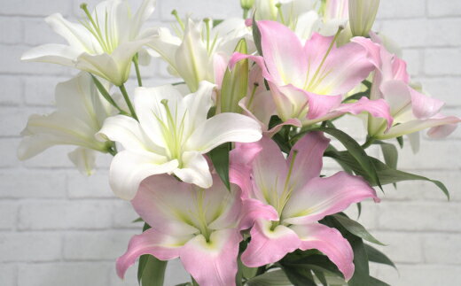 【ふるさと納税】【産直】オリエンタルユリの花束【15輪】　【11218-0531】 ゆり 百合 花束 贈りもの 贈り物 プレゼント ギフト 埼玉県 深谷市 百合の滝沢