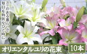 【ふるさと納税】【産直】オリエンタルユリの花束【10本】 【11218-0534】 ゆり 百合 花束 贈りもの 贈り物 プレゼント ギフト 埼玉県 深谷市 百合...