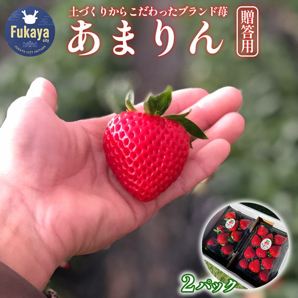 埼玉県産 贈答用 あまりん(2パック入り)[11218-0871]# いちご イチゴ 深谷 深谷市 完熟 甘い 糖度 詰合せ 詰め合わせ 埼玉県 深谷市 木口農園