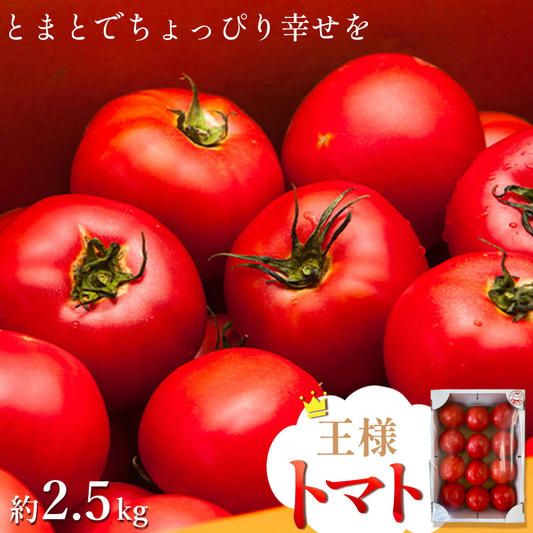 【ふるさと納税】王様トマト 約2.5kg 【11218-0713】