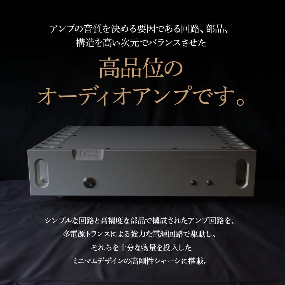 【ふるさと納税】光フォノアンプ＜カラー：シルバー＞　【11218-0824-1】