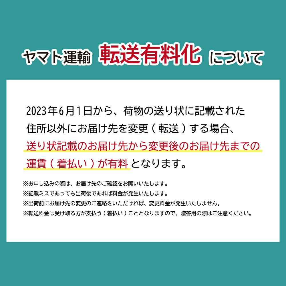 【ふるさと納税】パティスリー銀座千疋屋 銀座フ...の紹介画像3