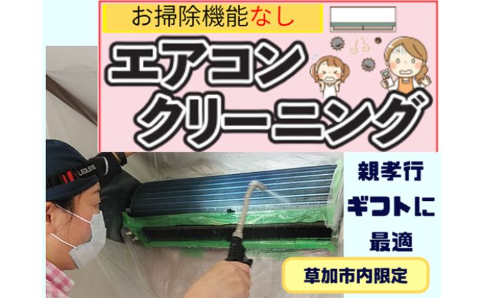 【ふるさと納税】 草加市内限定 お掃除機能無しエアコンクリーニング 【チケット・家事代行・サービス・掃除・エアコン・エアコンクリーニング・ギフト】