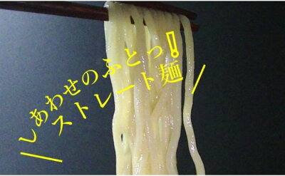 埼玉県草加市 【ふるさと納税】実際のラーメン屋さんに卸している自慢の麺 工房直送(味噌味15食) 【 麺類 ラーメン 味噌 みそ 味噌味 生ラーメン モチモチ 弾力 太ストレート麺 やさしい あっさり 塩スープ 絶妙の味 】 画像3
