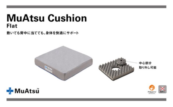 [昭和西川]ムアツクッション Flat(座布団 布団 ふとん 背当て 心地よく サポート 清潔 防ダニ 円座 Ag イオン シンプル ベーシック フラット)