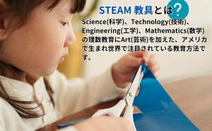 【ふるさと納税】グラデーションフラワー STEAM教具【知育 教育 理数教育 子ども 未来 紙 水性ペン 毛細管現象 オリジナル バラ カーネーション 制作 工作 キット セロファン 宿題 自由研究 ハロウィン クリスマス イベント 家族 アート 科学 技術 工学 数学 芸術】