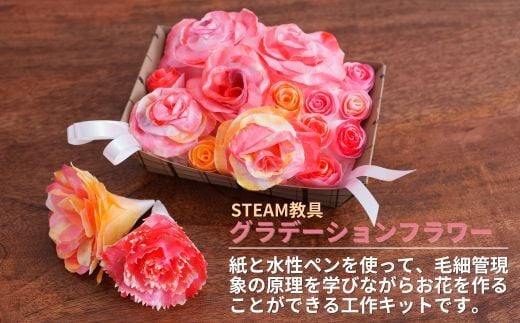 【ふるさと納税】グラデーションフラワー STEAM教具【知育 教育 理数教育 子ども 未来 紙 水性ペン 毛細管現象 オリジナル バラ カーネーション 制作 工作 キット セロファン 宿題 自由研究 ハロウィン クリスマス イベント 家族 アート 科学 技術 工学 数学 芸術】