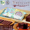 【ふるさと納税】 生ガトーショコラ1本とオリジナルチョコレートバーおまかせ4枚 詰め合わせセット |埼玉県 草加市 Bean to Bar チョコ ケーキ デザ...