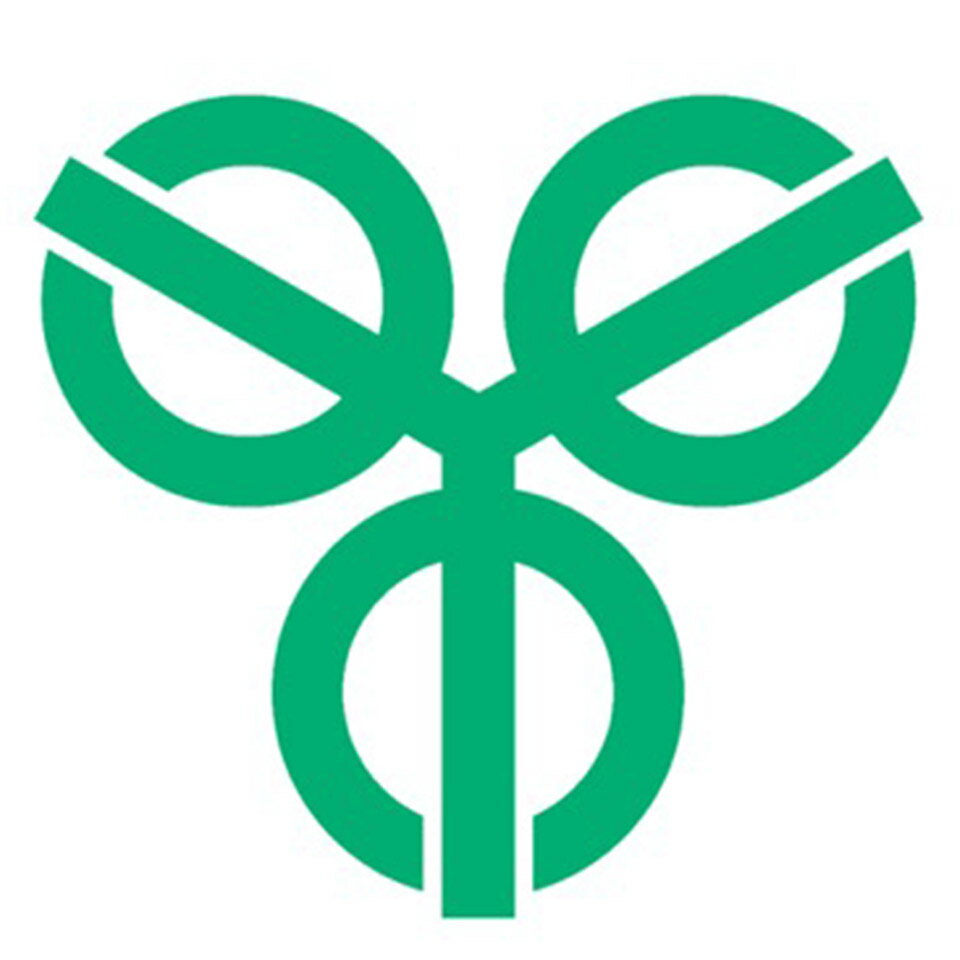 Shop icon