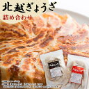 【ふるさと納税】No.030 北越ぎょうざ詰め合わせ(大) / 餃子 ギョウザ ギョーザ 北越ぎょうざ 男前ぎょうざ 越谷ねぎぎょうざ えび餃子 中華惣菜 セッ...