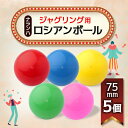 【ふるさと納税】ジャグリング用 ナランハロシアンボール 75mm 5個セット【1384305】(4)