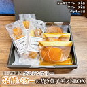 【ふるさと納税】グルテンフリー発酵バターの焼き菓子ギフトBOX【1501495】