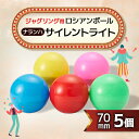 【ふるさと納税】【ジャグリング】ナランハ ロシアンボール サイレントライト 70mm 5個セット【1595720】