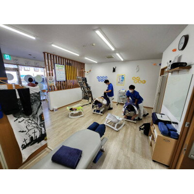 【ふるさと納税】はれのひ整骨院 10回券【施術】【1625805】その2