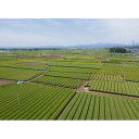 埼玉県入間市の画像3