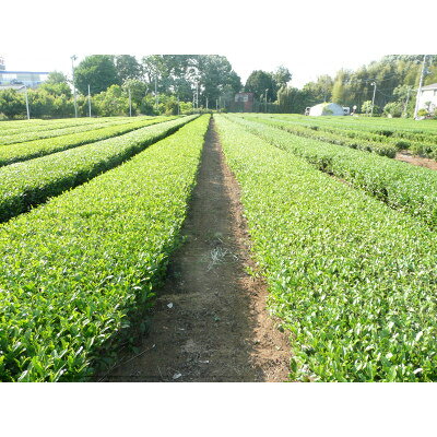 埼玉県入間市の画像3